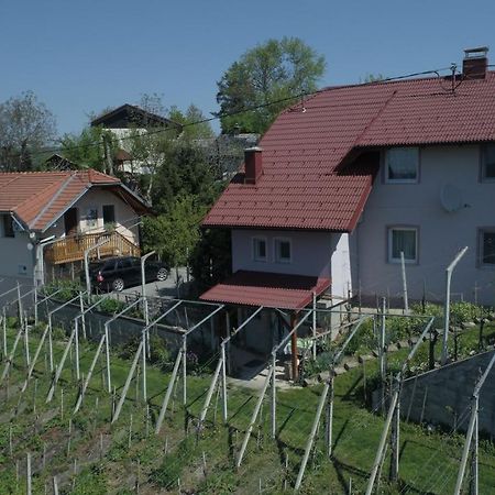 Apartment House Sumrak Bizeljsko Ngoại thất bức ảnh